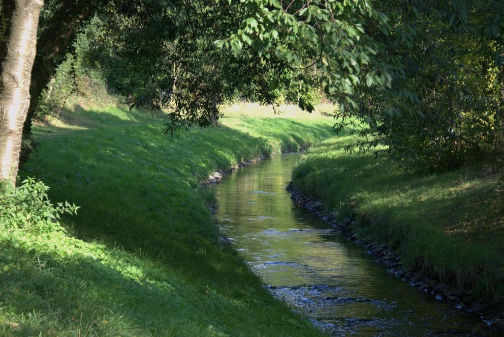Land-Hotel Zum Schwan, Garni Weilerswist-Metternich, 3 E-Ladestationen, Naehe Phantasialand, Palmenparadies Euskirchen Bagian luar foto