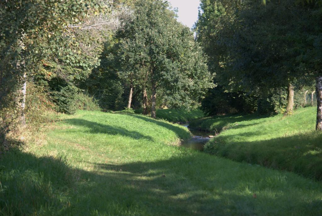 Land-Hotel Zum Schwan, Garni Weilerswist-Metternich, 3 E-Ladestationen, Naehe Phantasialand, Palmenparadies Euskirchen Bagian luar foto